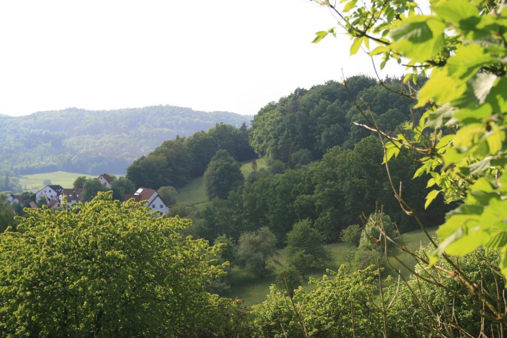 Landidyll Hotel Zum Alten Schloss Kirchensittenbach Chambre photo